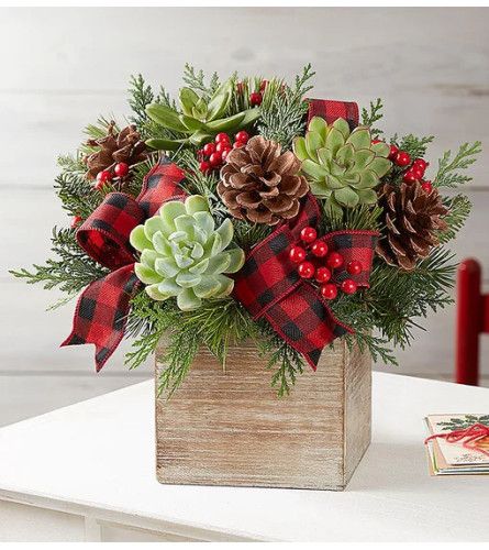 Modern Christmas Succulent Arrangement™ - Jacksonville, FL Florist Holiday Bouquet, Winter Floral Arrangements, Christmas Flower Arrangements, Eco Friendly Christmas, Holiday Arrangement, Christmas Floral Arrangements, Unique Christmas Decorations, Christmas Arrangements, Christmas Flowers