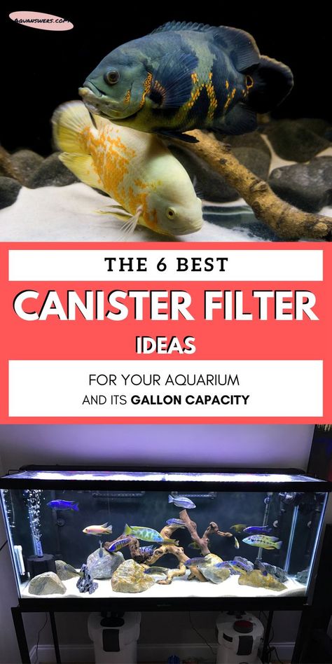 One of the best ways to keep a clean aquarium is to get a fitting canister filter for the system's gallon capacity and livestock. In this article you'll learn how to pick according to your fish tank setup, get the top product ideas, and read some authentic reviews. 40 Gallon Aquarium, Large Fish Tanks, Fish Tank Cleaning, Aquarium Set, Small Fish Tanks, Saltwater Fish Tanks, Betta Aquarium, Fresh Water Fish Tank, Nano Aquarium