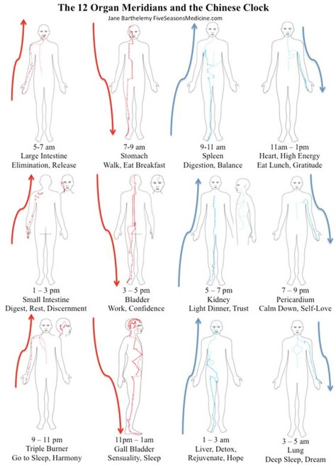 Meridians Points Charts, Meridians Energy Charts, 12 Meridians, Heart Meridian, Chinese Clock, Punkty Spustowe, Traditional Chinese Medicine Acupuncture, Tcm Traditional Chinese Medicine, Meridian Lines