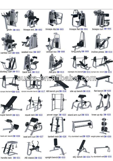 Gym Workout Equipment, Gym Machines Names, Gym Equipment Design, Bodybuilding Gym Design, How To Use Gym Equipment, Gym Vocabulary, Gym Equipment Machine, At Home Gym Equipment, Gym Equipment Names