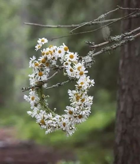 Land Of Flowers, Daisy Flower Crown, Daisy Crown, Wreath Crown, Flower Crown Bridesmaid, Crown Aesthetic, Daisy Field, Paint Flowers, Palm Sunday