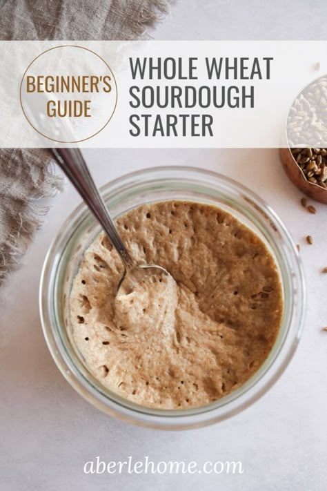 Bake Sourdough Bread, Whole Wheat Sourdough, Yeast Starter, Prebiotic Foods, Dough Starter, Sourdough Bread Starter, Bread Starter, Sourdough Starter Recipe, Sourdough Baking