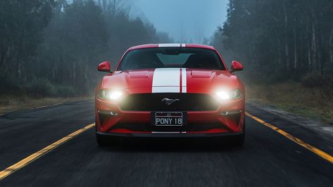 Fondos de Pantalla Ford 2018 Mustang GT Frente Tiras Rojo Coches descargar imagenes 2018 Mustang Gt, 2018 Mustang, Ford Mustang Wallpaper, Red Mustang, 1920x1200 Wallpaper, Mustang Wallpaper, Ford Mustang Fastback, Soccer Funny, Mustang Fastback