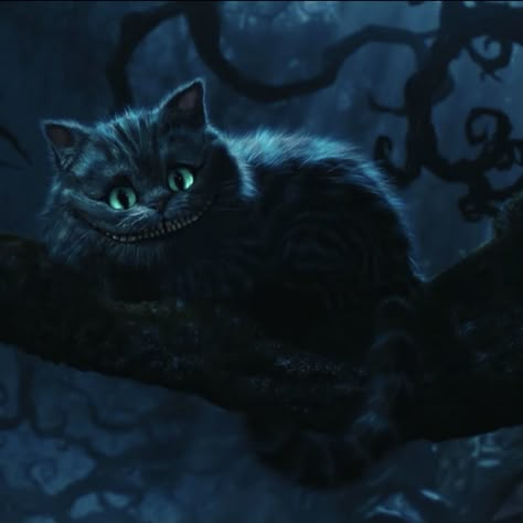 Smile Cat, About Smile, Alice In Wonderland, Black Cat, We Heart It, Lost, Green, Black