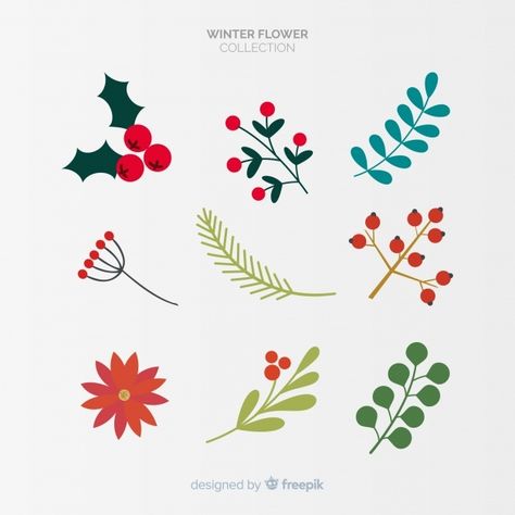 Winter flowers collection | Free Vector #Freepik #freevector #flower #floral #winter #snow Hand Painted Bauble, Christmas Leaves, Flowers Vector, Christmas Border, Illustration Botanique, Easy Christmas Decorations, Flower Collection, Christmas Card Template, Christmas Frames