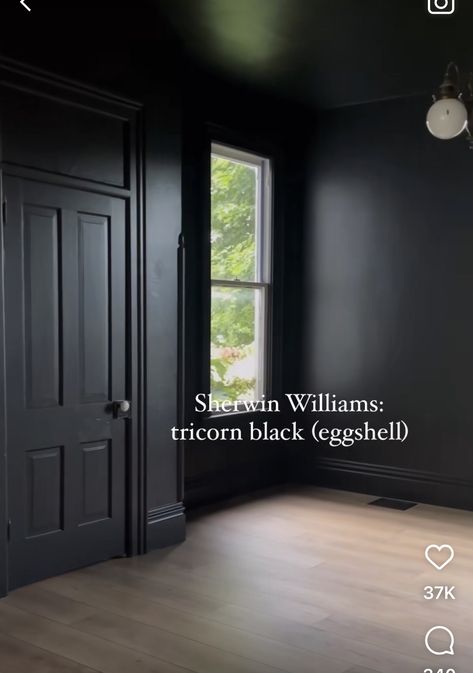 Black Walls Black Trim, All Black Painted Room, Black Room Paint, Black Paint Bedroom Walls, Rooms Painted Black, Best Interior Black Paint Color, Best Matte Black Paint For Walls, Masculine Paint Colors, Black Wall Paint Ideas