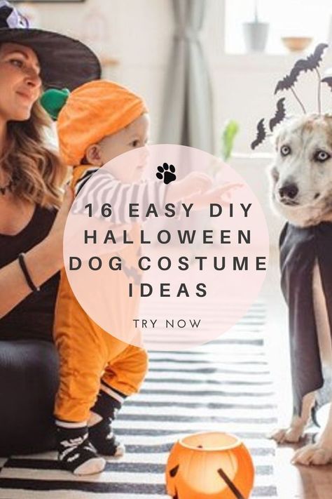 From a fanstastic article in Daily Paws on 16 easy DIY Halloween Dog Costume ideas. You can even make your own Halloween accessories to complete the Howloween aesthetic, such as scary Halloween pumpkin faces. You could even throw your own Halloween dog party (invite the dog moms and dog dads too, of course). #howloween #happyhalloween2021 #halloweenpumpkin #halloweendogcostume #halloweendogs #halloweendog Diy Pet Costumes Dogs, Dog Party Invite, Diy Dog Costume, Big Dog Costumes, Halloween Pumpkin Faces, Dog Costume Ideas, Diy Pet Costumes, Scary Spiders, Puppy Halloween Costumes