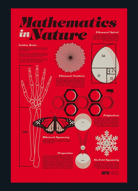 https://www.behance.net/gallery/57074519/AFE-Mathematics-in-Nature Mathematics In Nature, Golden Ratio In Nature, Fibonacci In Nature, Maths In Nature, Math Art Projects, Mathematics Art, Designer Illustration, Graphic Design Quotes, Science Quotes