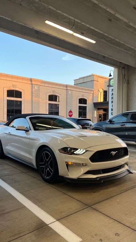 Mustang S550, White Mustang, Ford Mustang Car, Lux Cars, Mustang Convertible, Mustang Cars, Classy Cars, Fancy Cars, Pretty Cars