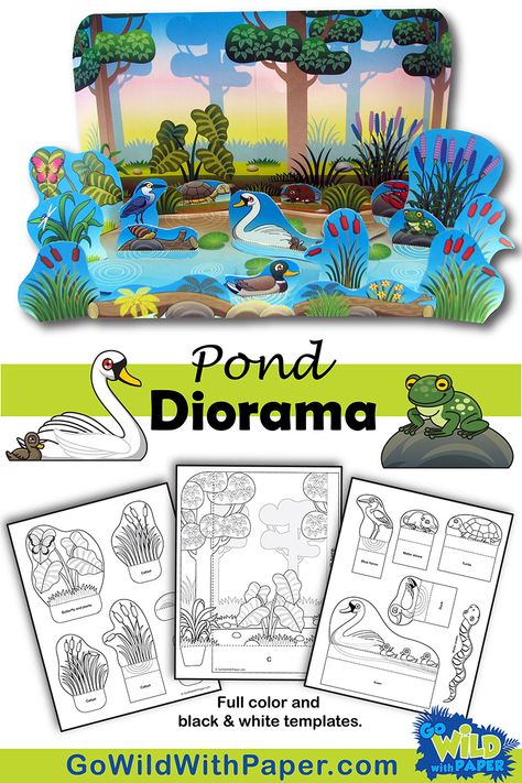 Animal Habitat Diorama, Animal Habitat Activities, Habitat Diorama, Pond Habitat, Diy Diorama, Arctic Habitat, Habitat Activities, Biomes Project, Beautiful Classroom