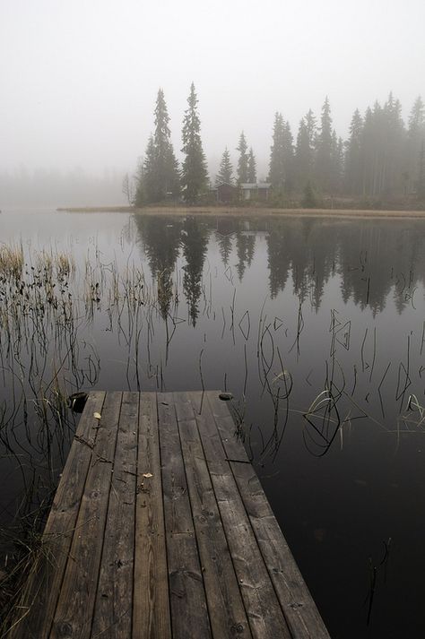 Bath Photography, Wooded Landscaping, White Lake, Black And White Landscape, Lake Landscape, Forest Landscape, Black And White Aesthetic, Black And White Pictures, Landscape Photographers