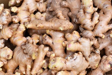 Substitute For Ginger, Ginger Substitute, Growing Ginger Indoors, Moroccan Vegetables, Ginger Rhizome, Ginger Roots, Ginger Chutney, Growing Ginger, Ginger Plant