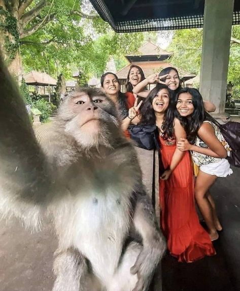 60 Fun Filled Pics and Memes to Tickle Your Pickle - Funny Gallery Best Memes Funny, Funny Picture Gallery, Selfie Pics, Out Of Your Mind, Funny Animal Photos, A Monkey, Taking Selfies, Daily Funny, Star Wars Memes