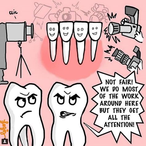 Happy Wednesday! #Fun #happiness #Dental #clinique #Haiti #love Medical Assistant Humor, Dentist Jokes, Dentistry Humor, Radiology Humor, Teeth Humor, Dental Quotes, Dental Posts, Dental Jokes, Dental Shirts