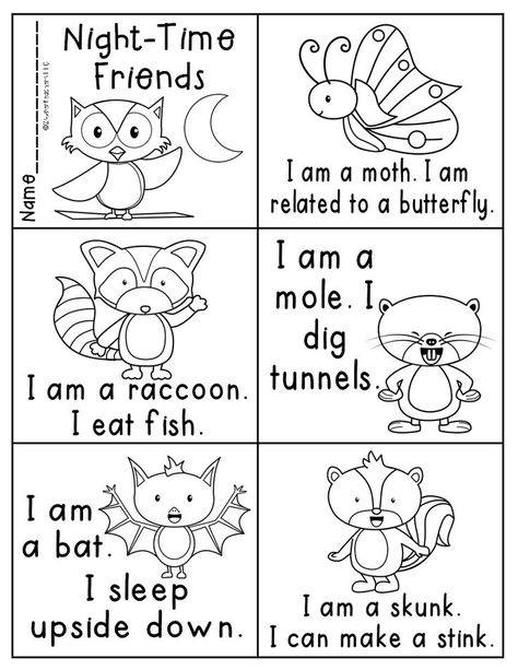 Nocturnal Animals Kindergarten, Nocturnal Animals Activities, Forest Animals Preschool, Diurnal Animals, Animal Lessons, The Kissing Hand, Worksheets Kindergarten, Animal Worksheets, Kids Pages