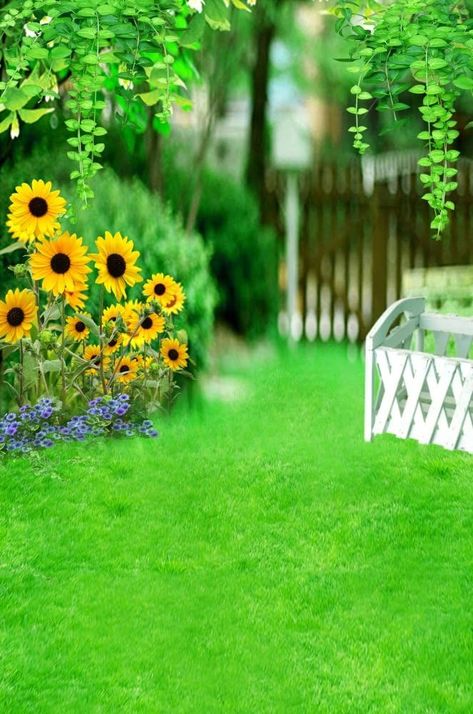 Studio Photography Backdrop, Flower Fence, Baby Photography Backdrop, Background Portrait, Video Backdrops, Garden Background, Toddler Photoshoot, Grass Background, Nature Background Images