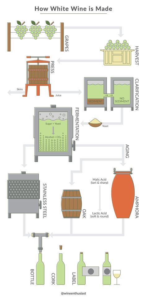 There are many steps to create your favorite white wine from grapes. We'll show you how white wine is made from the harvest to the bottle. How Wine Is Made, Library Speakeasy, Wine Process, Wine From Grapes, Making Wine From Grapes, Homemade Booze, Backyard Vineyard, Wine Infographic, Winery Ideas