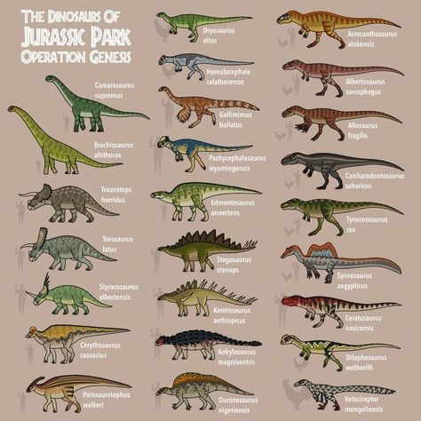 Dinosaur Art Projects, Dinosaur Types, Dino Drawing, Prehistoric Animals Dinosaurs, Animal Infographic, Dinosaur Facts, Dino Park, Prehistoric Wildlife, Prehistoric Dinosaurs