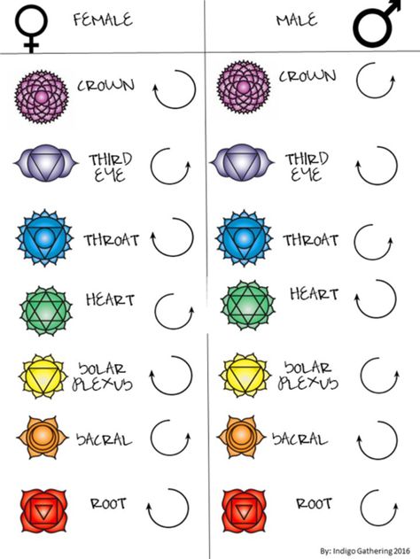 Hara Chakra, Cerebral Cortex, The Chakras, Pineal Gland, Chakra System, Lower Abdomen, Solar Plexus Chakra, Energy System, Personal Power