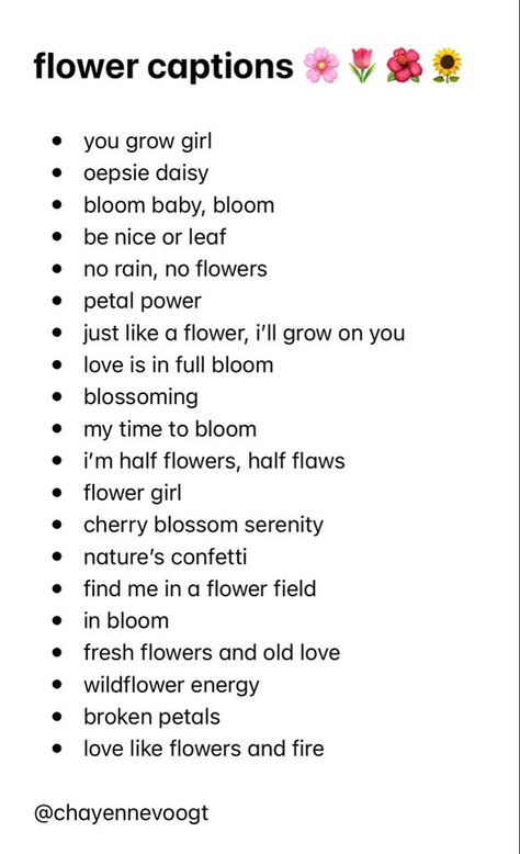 flower captions Captions For Instagram Flower Post, Flower Story Caption, Short Sweet Insta Captions, Flowers Related Captions, Love Bloom Quotes, Flowers Caption For Instagram Story, Flower Photo Captions, Flower Ig Captions, Floral Instagram Captions