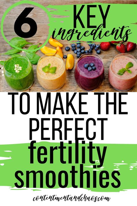 Ttc Diet, Fertility Diet Recipes, Trying To Conceive Tips, Ivf Diet, Ttc Tips, Fertility Tea, Fertility Smoothie, Fertility Boosters, Fertility Foods