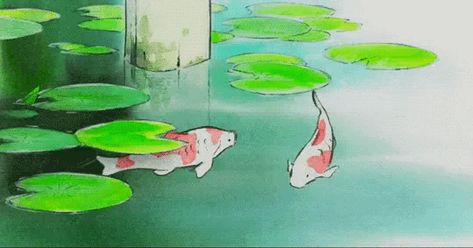 A Pond, Koi Fish, Lily Pads, Koi, Fanfiction, The Story, Books Wattpad, Lily, Swimming