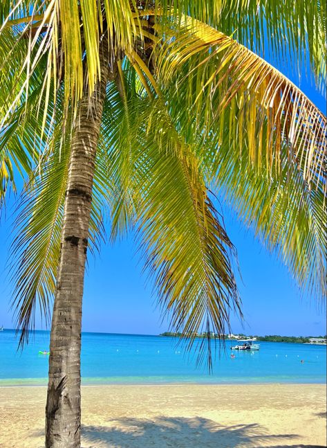 Riu Palace, Negril, Jamaica, Palace