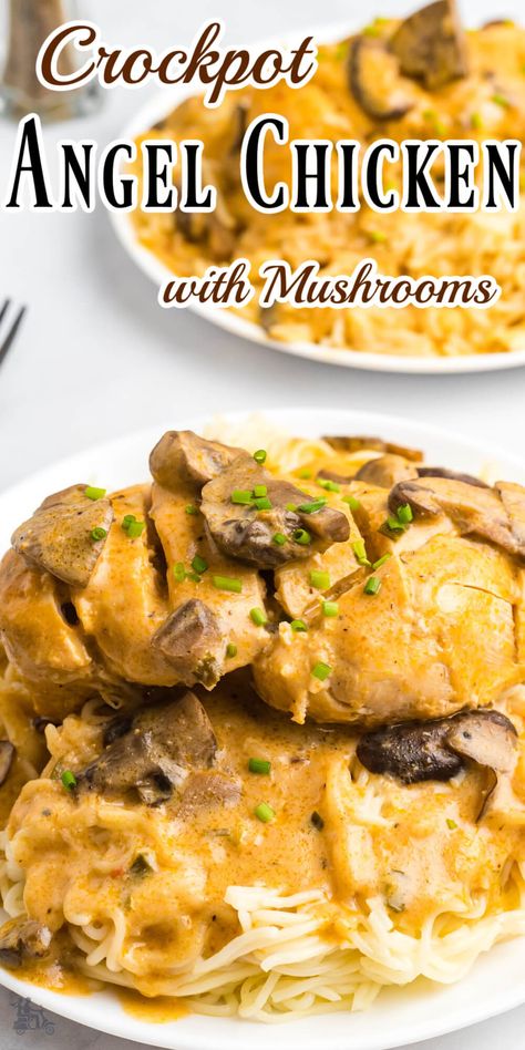 This Crockpot Angel Chicken with Mushrooms is the perfect dish for a busy weeknight! The chicken is tender and buttery and the mushroom sauce is packed with flavor. Another plus is that it takes only a few minutes to prep and is perfect for a weeknight dinner. I guarantee your family will love it! Golden Chicken Pasta Crockpot, Angel Chicken Crockpot Golden Mushroom, Chicken Golden Mushroom Soup Recipe, Crockpot Chicken And Mushrooms Recipes, Crockpot Mushroom Chicken Recipes, Golden Mushroom Soup Recipes Chicken, Chicken With Mushroom Soup Recipes, Crockpot Recipes With Mushrooms, Chicken And Mushrooms Crockpot