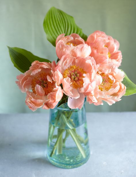 Cut Flower Food, Realistic Paper Flowers, Flowers In Glass Vase, Spring Decorating Ideas, Flowers Last Longer, Flower Room, Flower Vase Arrangements, Spring Decorating, Garden Indoor