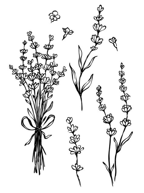 Lavender Doodle, Botanical Illustration Black And White, Bouquet Black And White, Mum Tattoo, Art Deco Tattoo, Beautiful Dawn, Lavender Tattoo, Single Needle Tattoo, Bouquet Tattoo