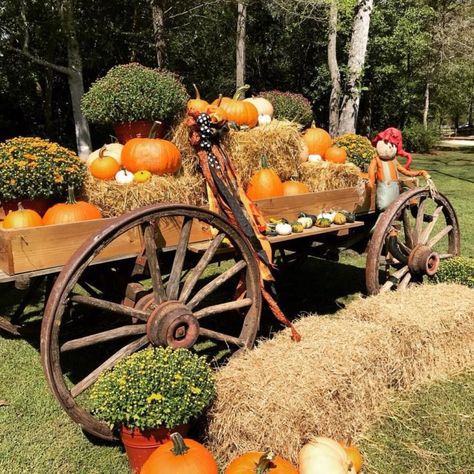 7. Mike's Farm, Beulaville Pumpkin Wheelbarrow, Pumpkin Patch Corn Pit, Pumpkins In A Wheelbarrow, Fall Wagon Decor, Wagon With Pumpkins, Georgia Pumpkin Patch, Hay Bale Fall Decor, Pumpkin Patch Farm, Farm Wagons