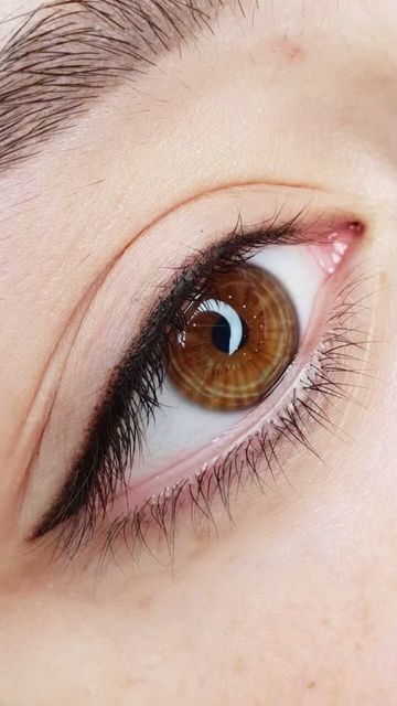 Googoosh Beauty Saloon on Instagram: "#dubaimall #beautiful #mathiassantourian" Eyeliner Tattoo Ideas, Permanent Eyeliner Styles, Eyeliner Tattoo Permanent, Eyeliner Permanent Makeup, Tattooed Eyeliner, Pmu Eyeliner, Best Tattoo Ideas For Men, Mircoblading Eyebrows, Tattoo Eyeliner