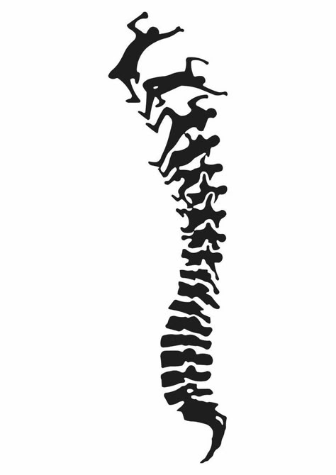 Physical Therapy Wallpaper, Spine Sketch, Physical Wallpaper, Pirate Painting, Physiotherapy Logo, Spine Art, Chiropractic Art, Pilates Logo, Massage Images