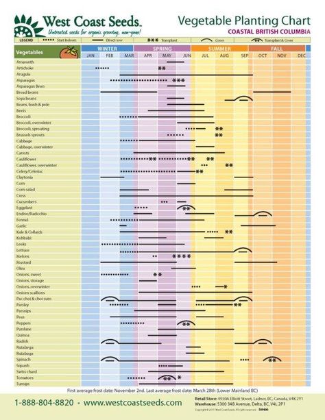 Regional Planting Charts – West Coast Seeds Vegetable Planting Calendar, Germinate Seeds, Planting Chart, Ohio Garden, Garden Notes, Vegetable Planting, When To Plant Vegetables, Planting Calendar, Asparagus Beans