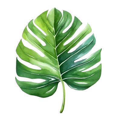 Plant Watercolor, Fairy Images, Leaves Watercolor, Leaves Illustration, Watercolor Plants, Monstera Leaves, Leaf Green, Free Clipart, Free Vectors