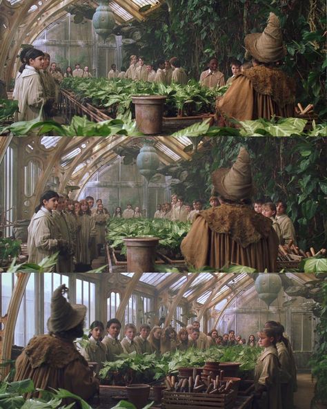 Hogwarts Herbology Greenhous Harry Potter Greenhouse, Herbology Greenhouse, Herbology Hogwarts, Hogwarts Greenhouse, Hogwarts Herbology, Evil Magician, Harry Potter Plants, Harry Potter Mandrake, Hufflepuff Aesthetic