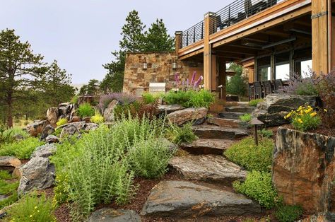 Mountain Modern | Lifescape Colorado Modern Mountain Landscape Design, Mountain Home Garden, Mountain Side Landscape Ideas, Landscape For Mountain Home, Landscape Ideas Mountain Home, Alpine Landscaping, Colorado Inspired Landscaping, Mountain House Landscaping, Landscaping Mountain Home