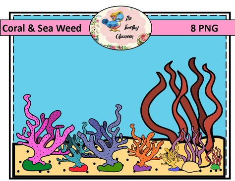 Coral & Sea Weed 11 FREE graphics when you buy the Ocean Reef Bundle! Classroom Clipart, Ocean Reef, Coral Sea, Png Graphics, Free Graphics, Resource Classroom, The Ocean, Comic Book Cover, Coral