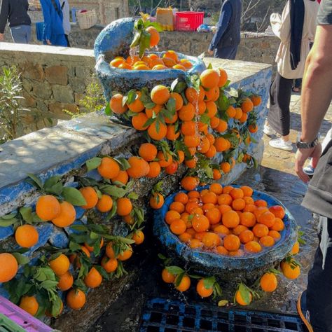 The sweetest smell in the world? Fresh Moroccan oranges on a hot day Nothing beats that burst of flavor and sunshine in every bite! 📸 𝚌𝚛𝚎𝚍𝚒𝚝 𝚝𝚘 𝚊𝚖𝚒𝚛𝚊𝚏𝚛𝚘𝚖𝚜𝚢𝚛𝚒𝚊𝚊𝚊𝚊 📥 𝖣𝗆 𝖿𝗈𝗋 𝖼𝗋𝖾𝖽𝗂𝗍 𝗈𝗋 𝗋𝖾𝗆𝗈𝗏𝖺𝗅 𝑻𝒂𝒎𝒈𝒉𝒓𝒂𝒃𝒊𝒕 𝑽𝒊𝒃𝒆𝒔ᵇʸ ᵏʳʸˢˢᵗᵃˡ 🇲🇦 ⵣ ------------------------------- #MoroccoVibes #CitrusLife #VitaminSea #SummerVibes #vitaminsea #moroccanorange #moroccotravel #morocco Morocco Travel Aesthetic, Moroccan Summer Aesthetic, Chefchaouen Morocco Aesthetic, Morroco Aesthetic Travel, Morocco Mediterranean, Morroco Aesthetic, Morocco Culture, Moroccan Summer, Morocco Chefchaouen