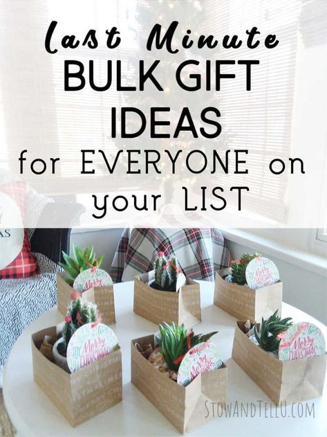 Gift guide of 27 ideas to make or buy for everyone on your list. Great for last minute shopping ideas and  finding a useful, universal, bulk gift so you can give the same gift to everyone, if needed.| StowandTellU.com | #Christmas #giftideas #bulkgift #guide #Holiday #gift #useful #inexpensive #under$20 Bulk Gift Ideas, Diy Christmas Gifts For Friends, Christmas Neighbor, Inexpensive Christmas Gifts, Coworkers Christmas, Gift Ideas For Everyone, Neighbor Christmas Gifts, Small Christmas Gifts, Christmas Gifts For Coworkers