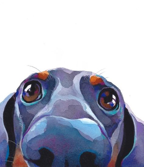 Sam on Instagram: "Hi 💕" Dachshund Painting, Dachshund Illustration, Dachshund Art, Work With Animals, Watercolor Dog, Color Pencil Art, Dog Paintings, Art Show, Art Studios