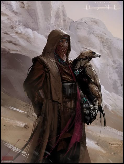 Dune Fremen, Eagle Hunter, Desert Planet, Dune Art, Dark Sun, Frank Herbert, Fantasy Rpg, Sci Fi Art, Fantasy Artwork