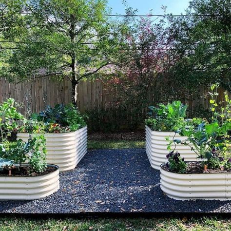 swissmiss | Vego Garden Vego Garden, Veg Patch, Patch Ideas, Metal Raised Garden Beds, Metal Bed, Raised Bed, Metal Beds, Raised Beds, Raised Garden Beds