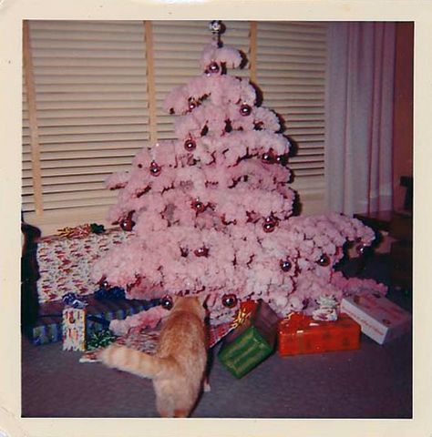 vintagegal:  1960’s Pink Christmas tree A Pink Christmas, Vintage Christmas Photos, Kitsch Christmas, Retro Christmas Tree, Christmas Tree Inspiration, Christmas Feeling, Pink Trees, Pink Christmas Tree, Christmas Past