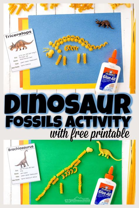 Make prehistoric dinosaurs come alive with this dinosaur fossils for kids activity! Toddler, preschool, pre-k, kindergarten, first grade and 2nd graders will have fun making fossils out of pasta using these free dinosaur fossil printables. Simply print pdf file with dinosaur printables and you are ready to play and learn about dinosaurs with this fossils for kids project. Kindergarten Fossil Activities, Noodle Dinosaur Craft, Dinosaur Water Activities, Dinosaur Activities First Grade, Dinosaur Week Preschool Crafts, Dinosaur Learning Activities Elementary, How Do Dinosaurs Go To School Craft, Dinosaur Projects 2nd Grade, All About Dinosaurs