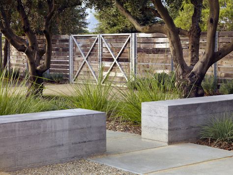 board-form concrete seat wall with plank fence I medlock Ames Tasting Room Concrete Benches, City Kitchen, Water Wise Landscaping, Board Formed Concrete, Paving Ideas, Concrete Retaining Walls, Paver Designs, Concrete Walkway, Wall Seating