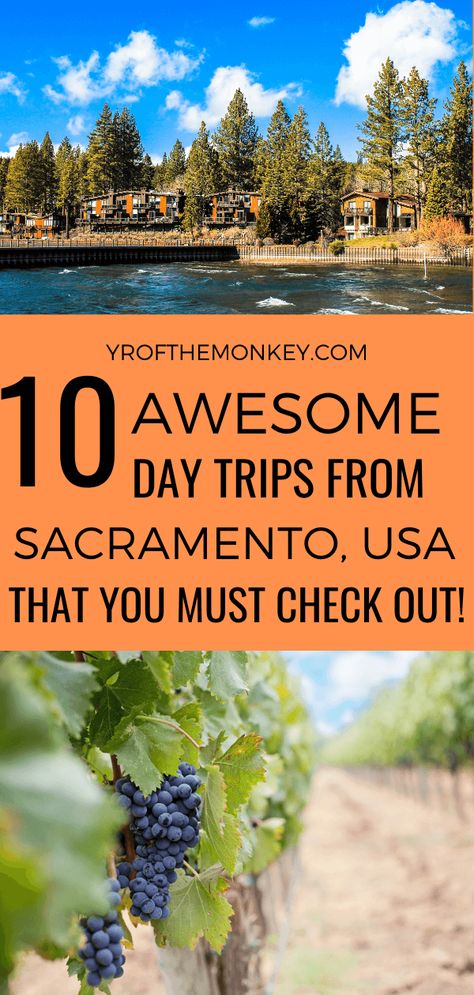 California Itinerary, San Francisco Travel Guide, Itinerary Ideas, Visit San Francisco, Travel California, Trip Destinations, San Francisco Travel, Visit California, Awesome Places