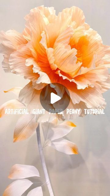 Zoi Decorative Design on Instagram: "Sunset - Giant Peony Flower making tutorial!#Artificialflowers #giant flower#wedding #party #Window display#peony #peonyflower #paperflowers#organza #tutorial #tutorials #mall" Organza Tutorial, Giant Flower Wedding, Crepe Paper Flowers Wedding, Ideas Casamiento, Paper Peonies Tutorial, Giant Paper Flower Tutorial, Flower Making Tutorial, Crepe Paper Flowers Tutorial, Giant Flowers Diy