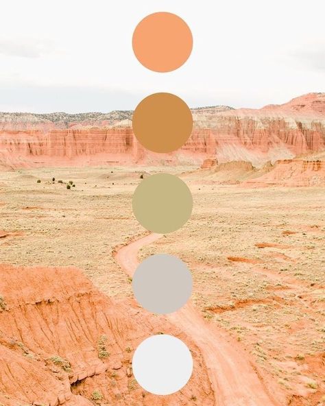 Colors Moodboard, Vineyard Decor, Desert Color Palette, Color Branding, Interior Paint Colors Schemes, Color Palette Ideas, Moodboard Inspiration, Desert Colors, Paint Color Schemes