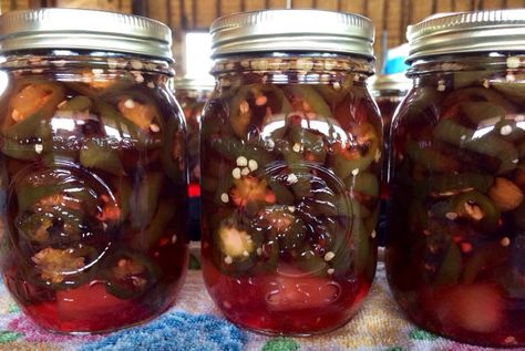 Sweet Jalapenos, Prickly Pear Jelly, Prickly Pear Recipes, Pickle Juice Benefits, Pickle Juice Uses, Cactus Recipe, Mexican Candies, Prickly Pear Juice, Canning Jams